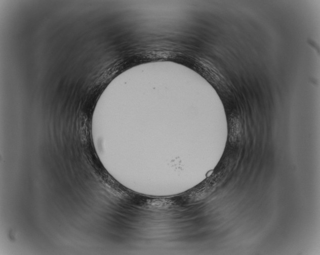 X0000097760414200804041130