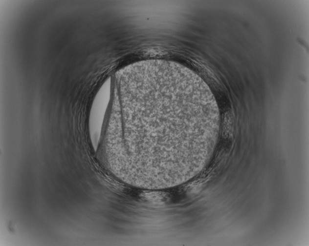 X0000097760417200804041130