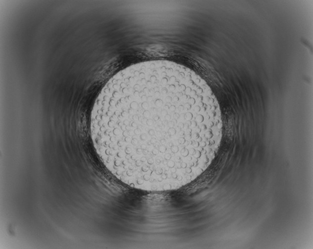 X0000097760418200804041130