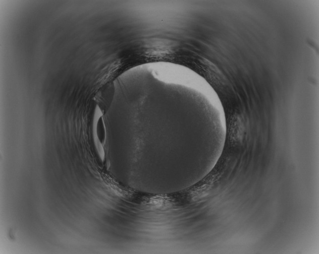 X0000097760420200804041130