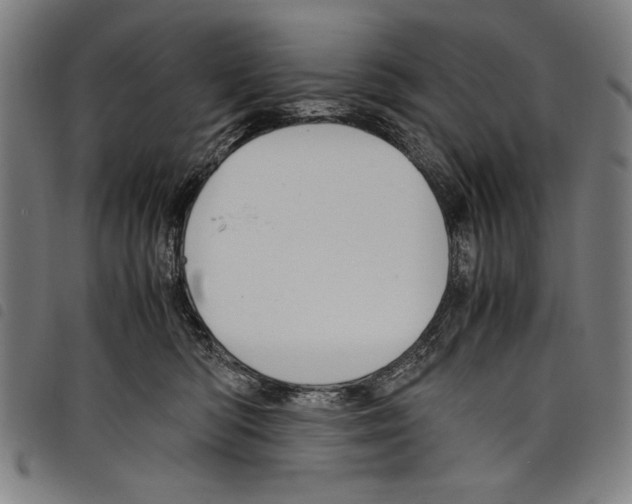 X0000097760422200804041130