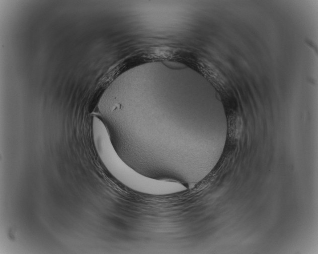 X0000097760425200804041130