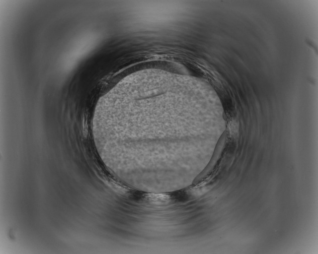 X0000097760429200804041130