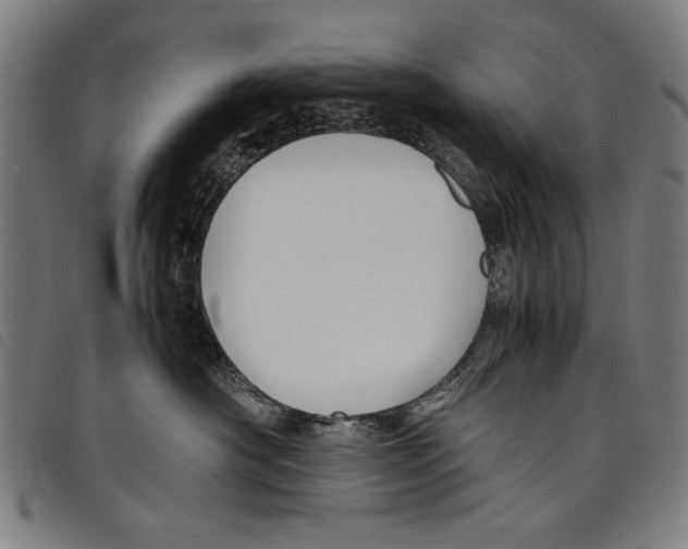 X0000097760430200804041130