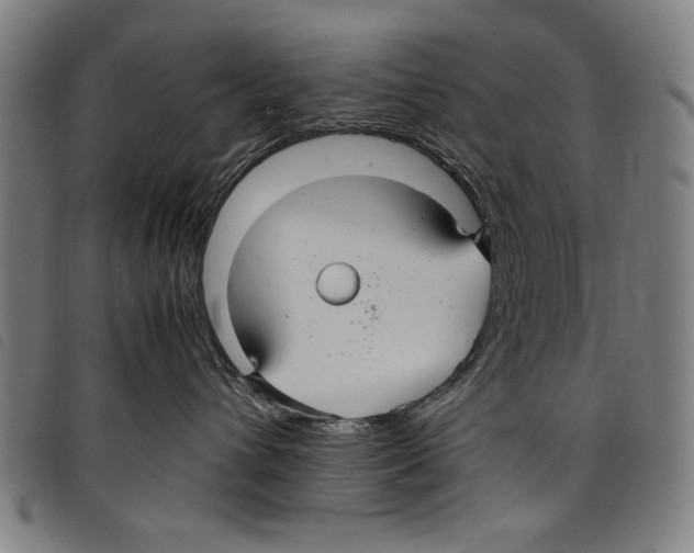 X0000097760432200804041130