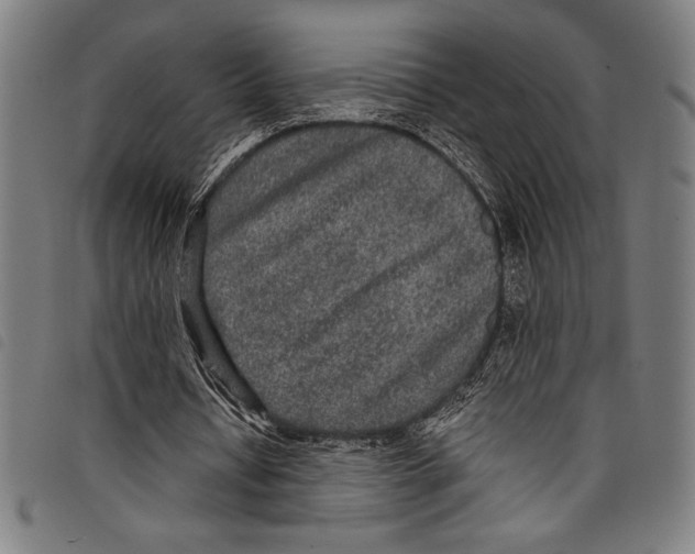 X0000097760434200804041129