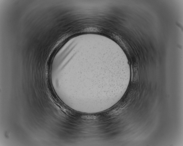 X0000097760435200804041129