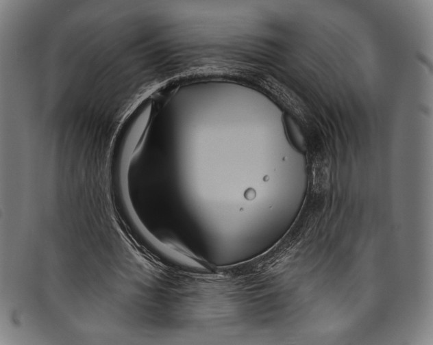 X0000097760436200804041129