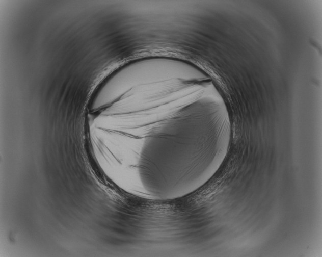 X0000097760438200804041129