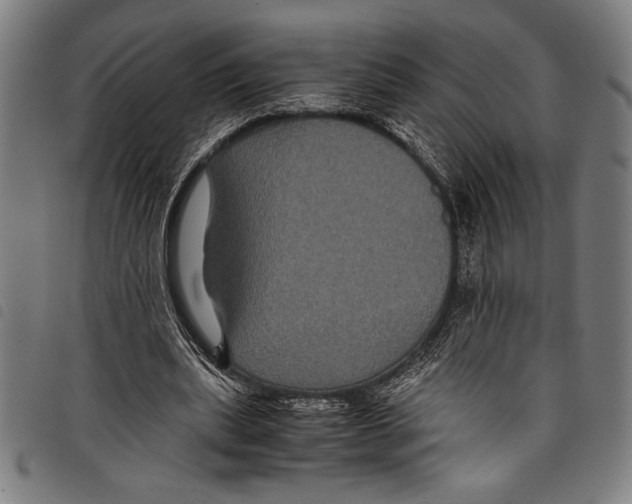 X0000097760439200804041129