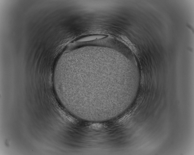 X0000097760441200804041129