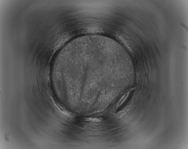 X0000097760443200804041129