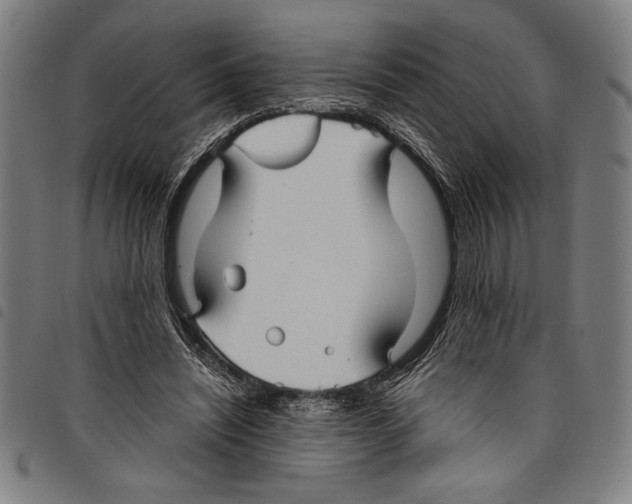 X0000097760444200804041129