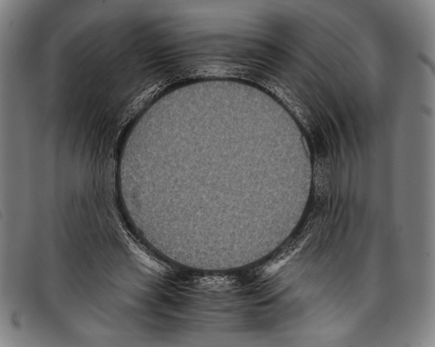 X0000097760445200804041129