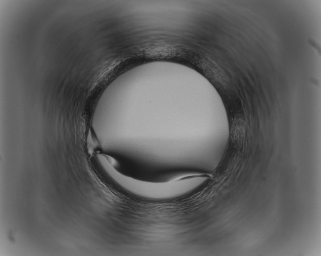 X0000097760448200804041129