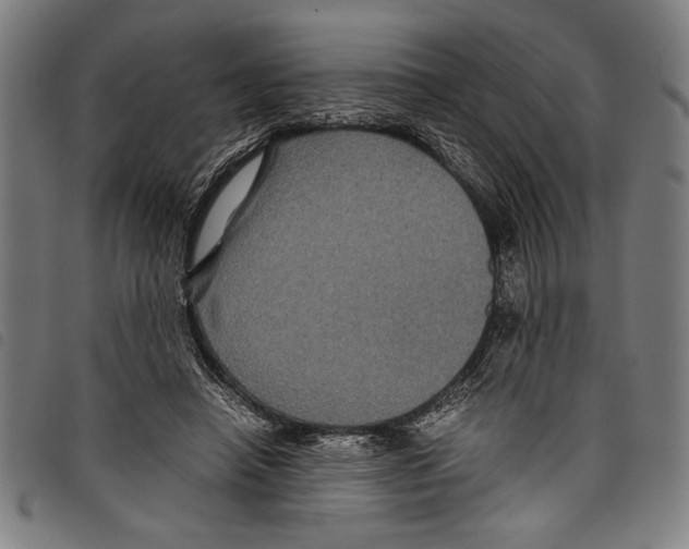 X0000097760450200804041129