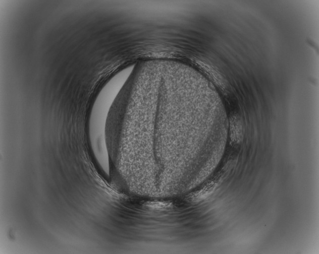 X0000097760453200804041129