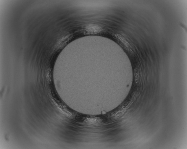 X0000097760455200804041129