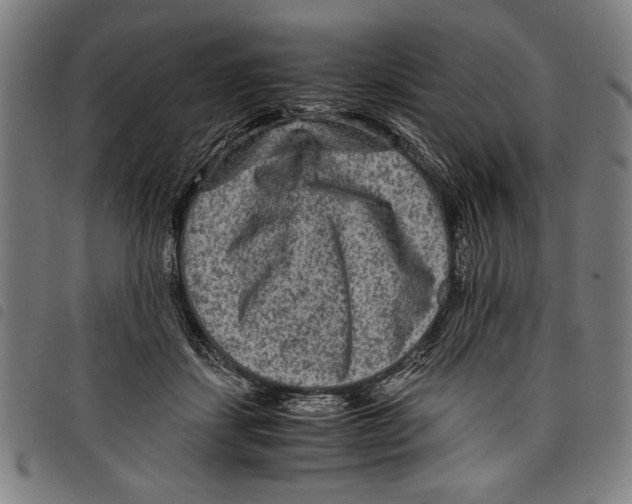 X0000097760459200804041129