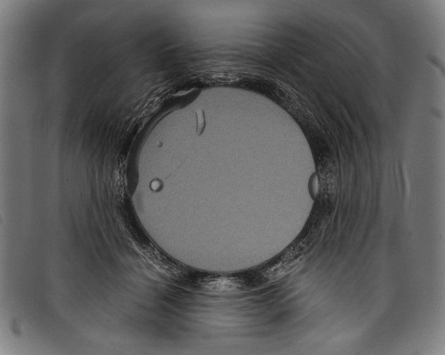 X0000097760460200804041129