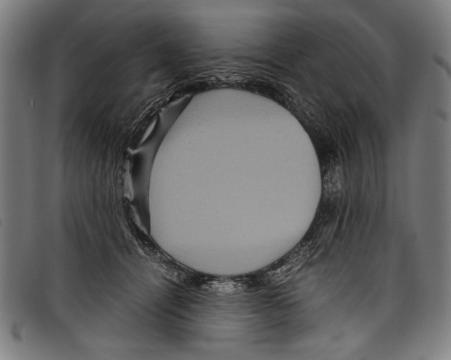 X0000097760464200804041130