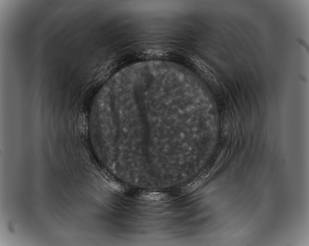 X0000097760467200804041130