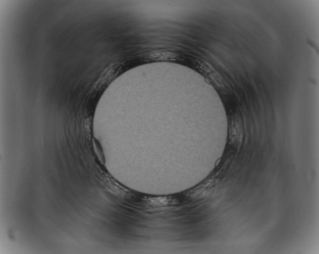 X0000097760473200804041130