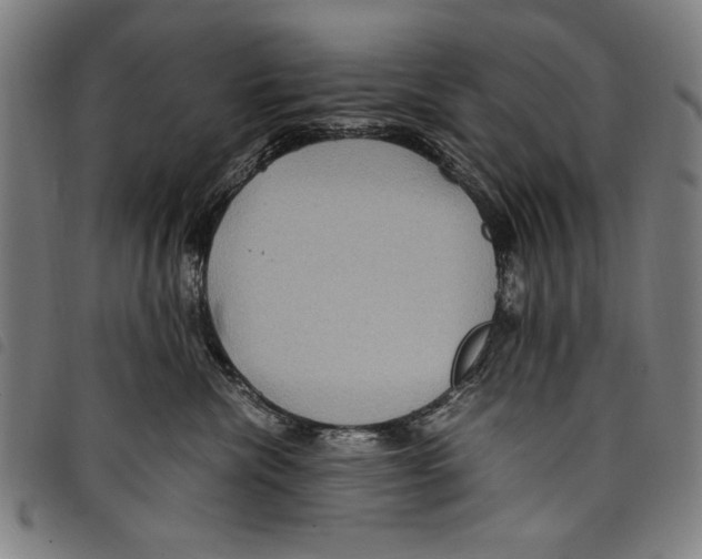 X0000097760476200804041130