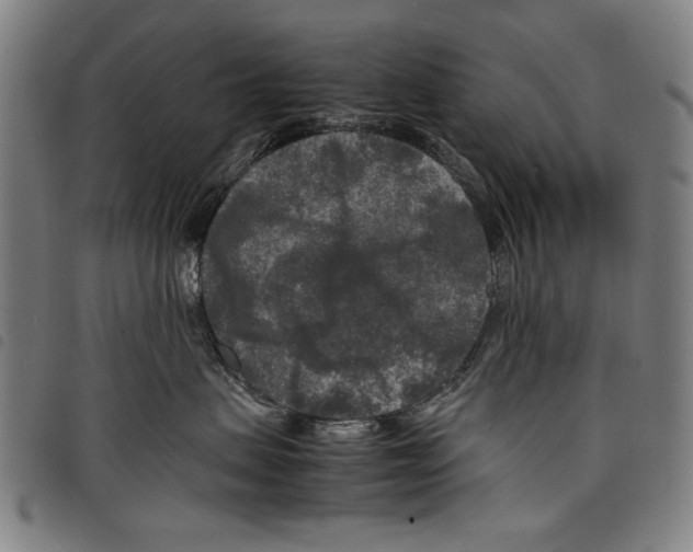 X0000097760479200804041130