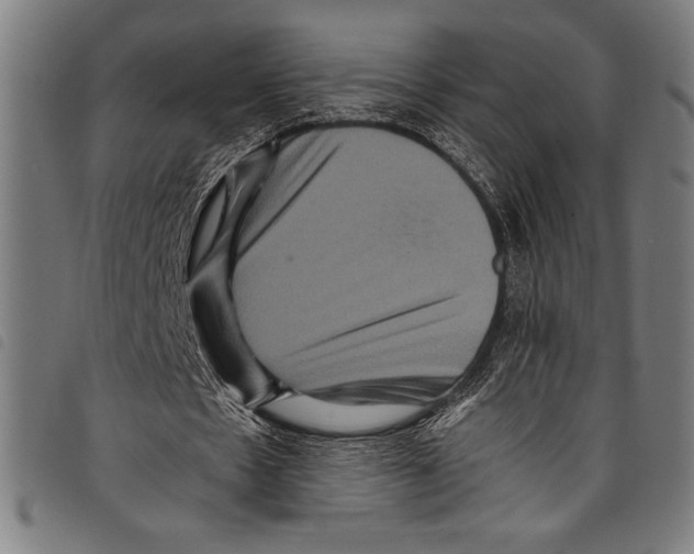 X0000097760481200804041129