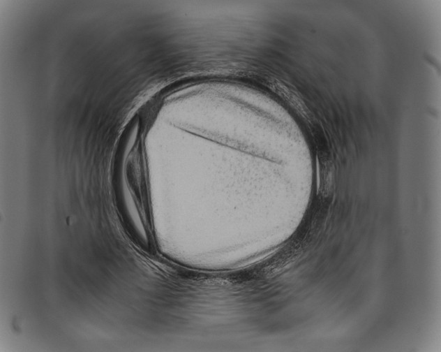 X0000097760483200804041129