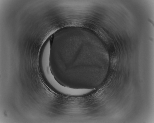 X0000097760484200804041129