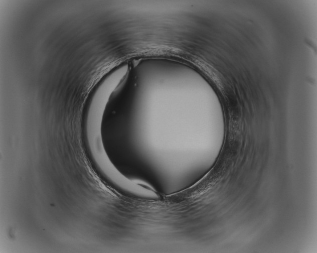 X0000097760485200804041129