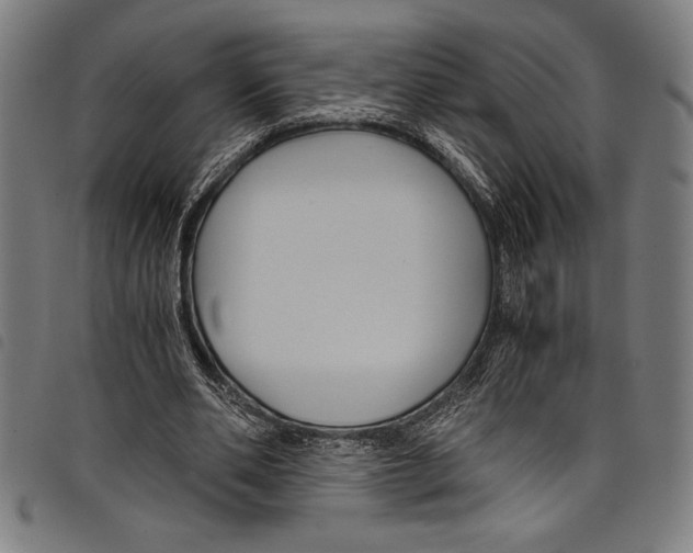 X0000097760486200804041129