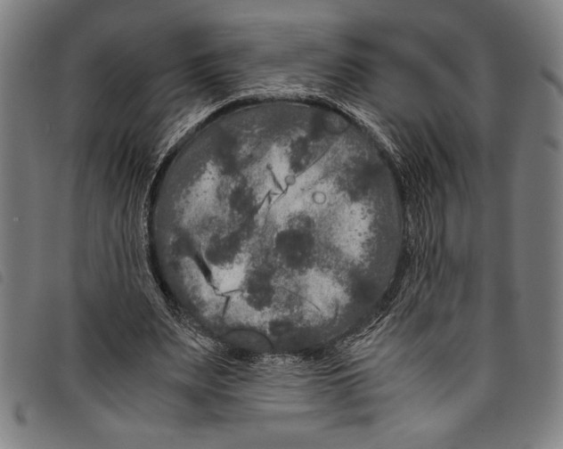 X0000097760487200804041129