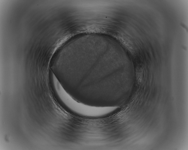 X0000097760488200804041129