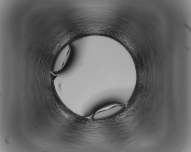 X0000097760489200804041129