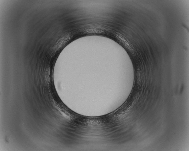 X0000097760490200804041129