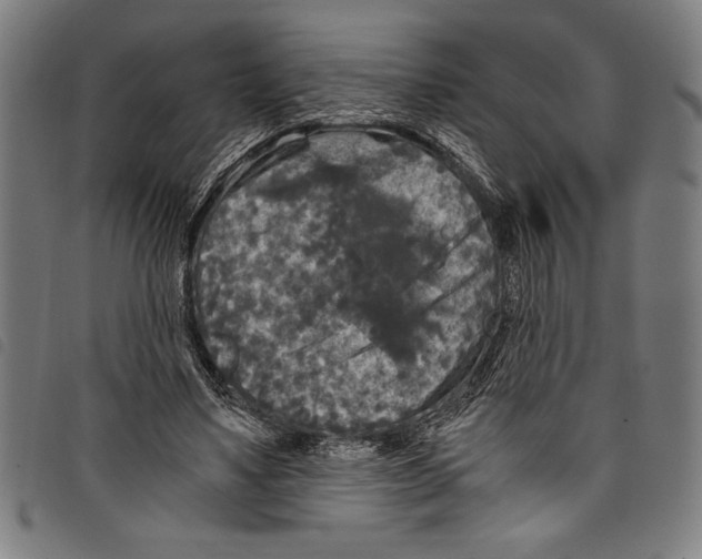 X0000097760491200804041129