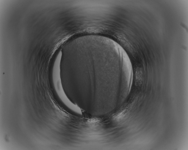 X0000097760492200804041129