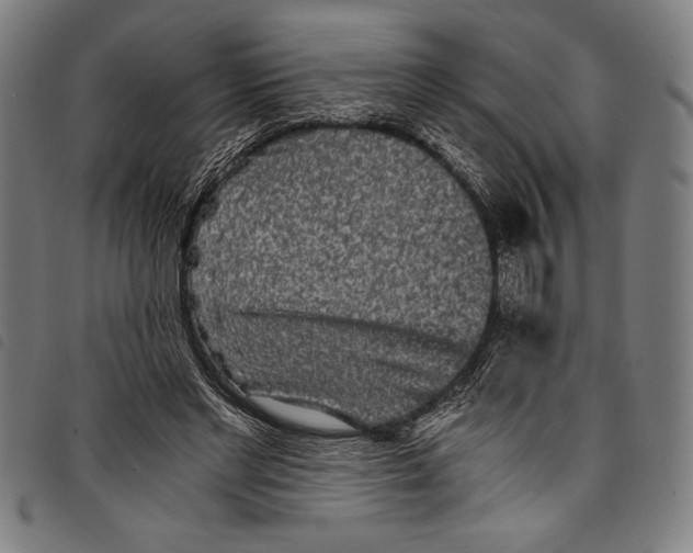 X0000097760493200804041129