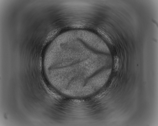 X0000097760494200804041129