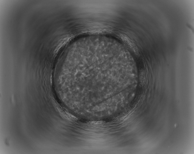 X0000097760495200804041129