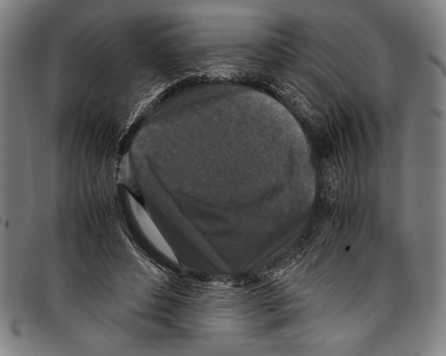 X0000097760496200804041129