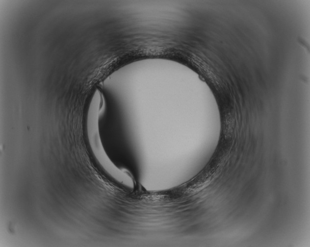 X0000097760497200804041129