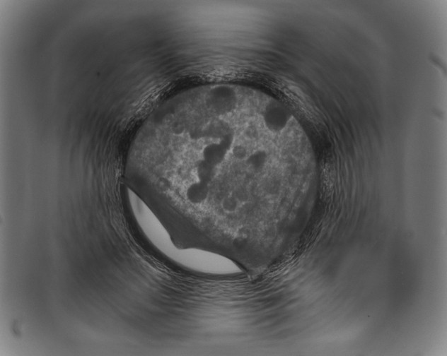 X0000097760499200804041129