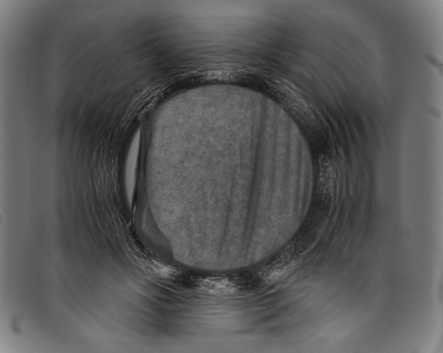 X0000097760502200804041129