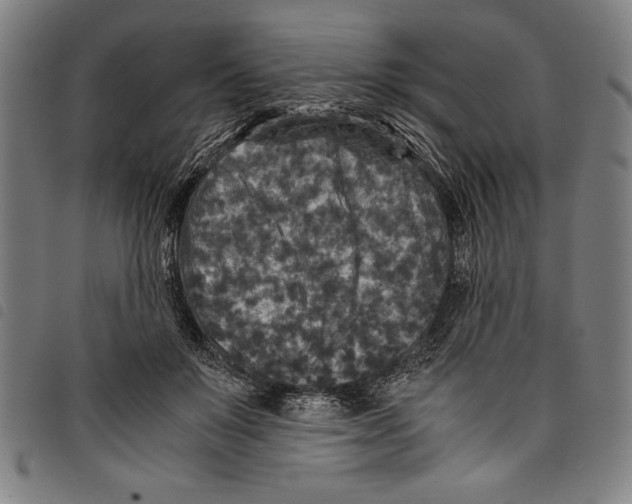 X0000097760503200804041129