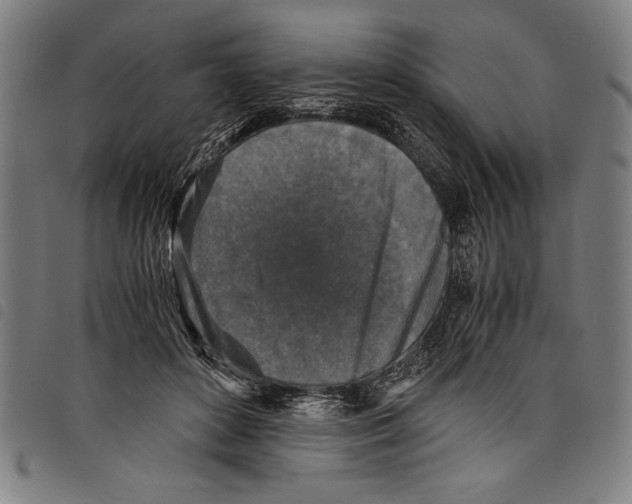 X0000097760504200804041129