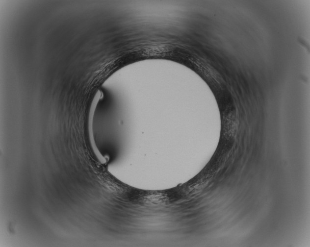 X0000097760505200804041129